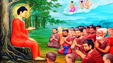 Bốn đức tự tin, không sợ hãi của Thế Tôn khi thuyết Pháp