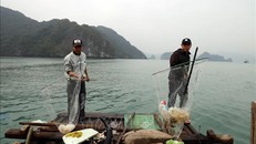 Các nhân viên vớt rác trên Vịnh Hạ Long. 