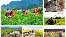 Tháo gỡ khó khăn, đầu tư có trọng điểm các Chương trình mục tiêu quốc gia