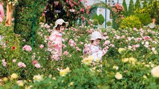 Du lịch dịp lễ 30/4 - 1/5: Du khách ưu tiên lựa chọn những điểm trốn nóng