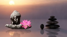 Lòng ta đã đủ vững chãi chưa?