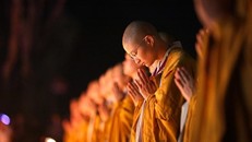 Là Tăng/ Ni, chắc chắn phải nỗ lực để có một học lực tương đối, bắt buộc phải có sự thâm nhập Phật pháp và nhận thức xã hội, khoa học khả dĩ.