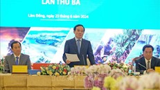 Phó Thủ tướng Trần Lưu Quang phát biểu. 