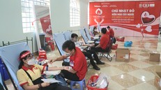 Có hơn 203 nghìn người đăng ký tham gia hiến máu tình nguyện