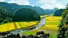 Theo Bộ Văn hóa, Thể thao và Du lịch, Di sản Văn hóa và Thiên nhiên thế giới Quần thể Danh thắng Tràng An có vẻ đẹp cảnh quan là các cánh đồng lúa; vì vậy, đề nghị UBND tỉnh Ninh Bình xem xét không thực hiện việc chuyển đổi diện tích đất trồng lúa sang đất khu đô thị để tránh làm ảnh hưởng đến cảnh quan thiên nhiên tạo nên giá trị của di sản.