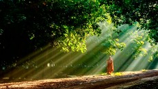 Thấu rõ chân tình từ những sóng gió thị phi