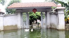 Ngập lụt ở xã Nam Phương Tiến, huyện Chương Mỹ (Hà Nội).