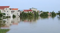 Lũ trên sông Bùi, đoạn qua huyện Chương Mỹ đã xuống dưới mức báo động cấp II. 