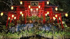 Ngôi chùa được Đại đức trụ trì Thích Huệ Hạnh dày công kiến tạo với nhiều kiến trúc Phật giáo giá trị, khang trang.