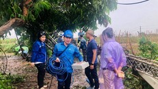 VinaPhone huy động nguồn lực đảm bảo liên lạc cho người dân.