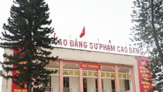 Dự kiến bỏ trường cao đẳng sư phạm vào năm 2030