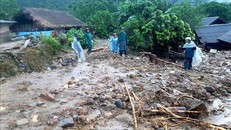 Bão số 3 đã gây thiệt hại nặng nề cho Việt Nam cả về người và của, đến nay vẫn còn hàng chục người mất tích sau bão.