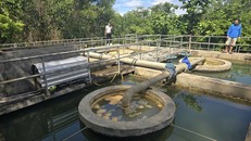 Bảo đảm chất lượng nguồn nước đầu vào cho các trạm cấp nước, nhà máy nước cần đặc biệt được kiểm soát. (Ảnh minh hoạ)