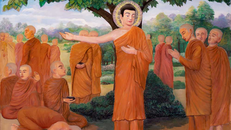 Phiền phức vô nghĩa nhất cuộc đời là gì?