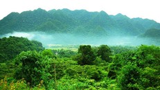 Khu bảo tồn thiên nhiên Mường La. (Ảnh minh hoạ)