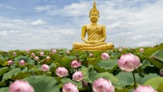 Lựa chọn một thái độ sống tích cực, yêu đời