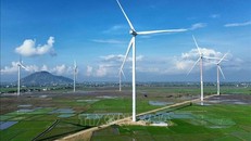 Tỉnh Ninh Thuận đang đẩy mạnh phát triển năng lượng tái tạo gắn với bảo vệ môi trường, ứng phó biến đổi khí hậu.