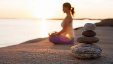 Quán chiếu sinh mệnh trong hơi thở