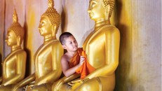 Bình yên cúi đầu trước Đức Phật từ bi!