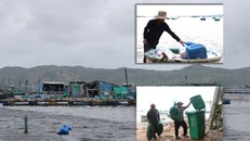 Người dân tại các vùng nuôi thủy sản trên địa bàn thị xã Sông Cầu (Phú Yên) thu gom, mang rác về bờ, nhằm giảm thiểu ô nhiễm môi trường. (Ảnh minh hoạ)