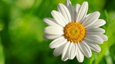 Biết vui một mình!