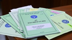 Bổ nhiệm, bổ nhiệm lại Ủy viên Hội đồng quản lý Bảo hiểm xã hội