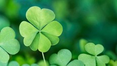 Sống an vui tích cực sẽ chiêu cảm những điều may mắn đến với ta