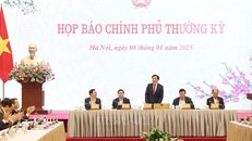 Họp báo Chính phủ thường kỳ tháng 12 năm 2024. 