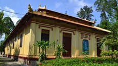 Về An Giang xem loài dơi quý hiếm sống trong ngôi chùa cổ hơn 200 năm tuổi