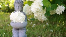 Tin rằng bạn xứng đáng, và sự thịnh vượng sẽ gõ cửa