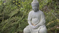 Tập đối diện với thất bại