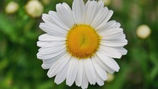 Thói quen cũ không tạo ra cuộc sống mới