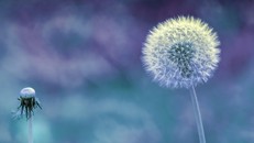 Sự sung túc không phải chỉ là chuyện tiền bạc