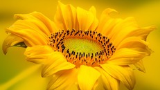 Cội nguồn của mọi may mắn không hề đến bởi cầu xin