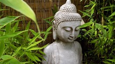 Đau khổ không đến để làm tổn thương bạn