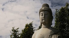 Bồ đề tâm, viên ngọc báu của sự giải thoát