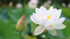 Muốn đời mình khác thì phải sống khác