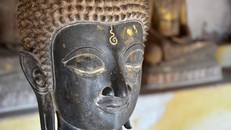 Phật dạy: “Thương kính và trân trọng thí chủ”