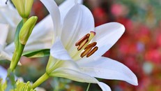 Có lúc thấy lòng đầy nghẹt, cần được khơi thông