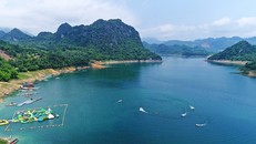 Lòng Hồ Hòa Bình. 