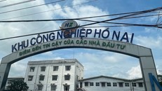 Việc Tập đoàn Công nghiệp Cao su Việt Nam thu về lợi nhuận hay thua lỗ sau khi rút vốn khỏi Khu công nghiệp Hố Nai lại chính là một ẩn số.