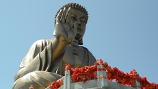 Tâm từ bi của đức Phật Thích Ca Mâu Ni