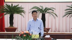 Phó Thủ tướng Lê Thành Long phát biểu tại buổi làm việc. 