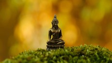 Kham nhẫn trước nghịch cảnh