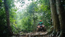 Du khách trải nghiệm sản phẩm du lịch mới “Khám phá rừng Lim - Ngôi nhà của Kong” ở Quảng Bình.