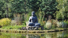 Đức Phật dạy thiếu nhi không nói dối