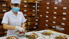 Bộ Y tế phân cấp thẩm quyền cấp, cấp lại, thu hồi giấy chứng nhận lương y.