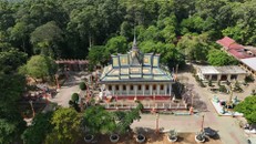 Chiêm ngưỡng chùa Hang hàng trăm tuổi giữa 'rừng' cây cổ thụ