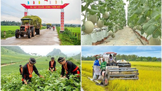 Xây dựng Cơ sở dữ liệu các chương trình mục tiêu quốc gia tại Bộ Tài chính để thống nhất kết nối, tích hợp dữ liệu từ các hệ thống thông tin có liên quan đến quản lý chương trình mục tiêu quốc gia. (Ảnh minh hoạ)