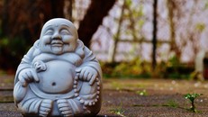 Con đường thực hành Pháp không thể đến bằng lòng tham